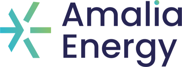 Logo Amalia Energy