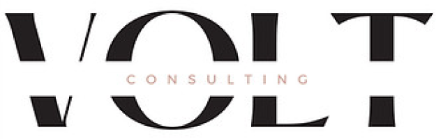 Logo Volt Consulting